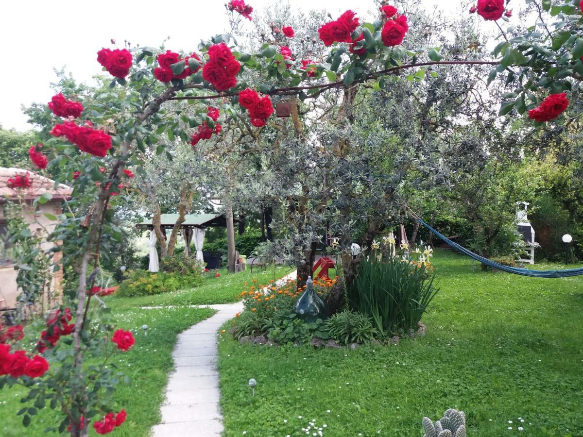 Antico Casolare Villa San Gimignano Ngoại thất bức ảnh